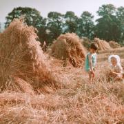 Children in the Harvest Field. What a photograph - one of a series of posed shots taken on an unknown farm. The titles indicate they were competition entries.