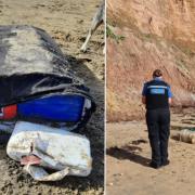 Drugs found on Isle of Wight beaches.