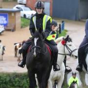 Horses in Havenstreet on Remembrance Sunday