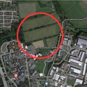 The fields, as shown on Google Maps