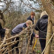 Helping to breathe new life into Mill Copse