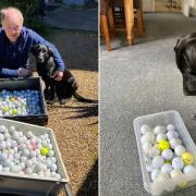 David and Masie with her golf balls.