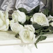 Recent death and funeral announcements on the Isle of Wight