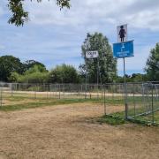 Clean-up operation underway at Seaclose Park, Newport.