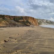 Islanders are encouraged to get out nurdle hunting in September and log their finds.