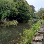 Bonchurch Pond, a gift to the village from Henry De Vere Stacpoole