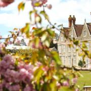 Barton Manor will be hosting a garden design course