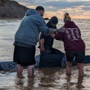 The whale being helped back into the sea.