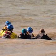 Rescue teams in the sea with the distressed pilot whale, earlier today.