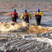 Rescuers wade into the sea to help a stranded whale.