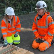 Fossils found at landslip-threatened Leeson Road