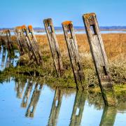 The Isle of Wight National Landscape includes the National Trust's Newton National Nature Reserve.