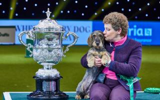 Best in Show winner Kim McCalmont, with Maisie on the fourth day of Crufts 2020. Picture: PA