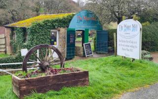 Historic Calbourne Water Mill attraction to close later this month
