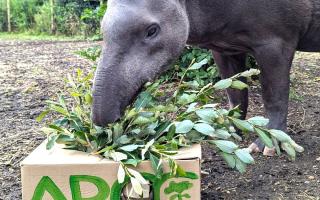 Island attraction on a mission to educate visitors about natural world crisis