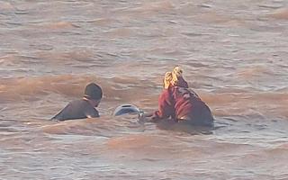 Attempts being made by a local couple to keep the pilot whale upright until expert help arrived.