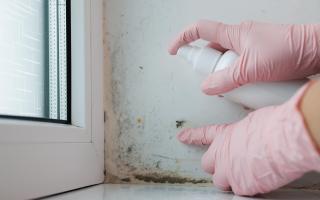 The best way to deal with mould is to prevent it happening in the first place, but if it does, you should know how to spot it and remove it as quickly as possible.