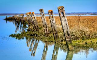 The Isle of Wight National Landscape includes the National Trust's Newton National Nature Reserve.