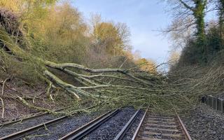 A 50mph speed restriction will be in place throughout the day, and will cause delays and cancellations. (South Western Railway)